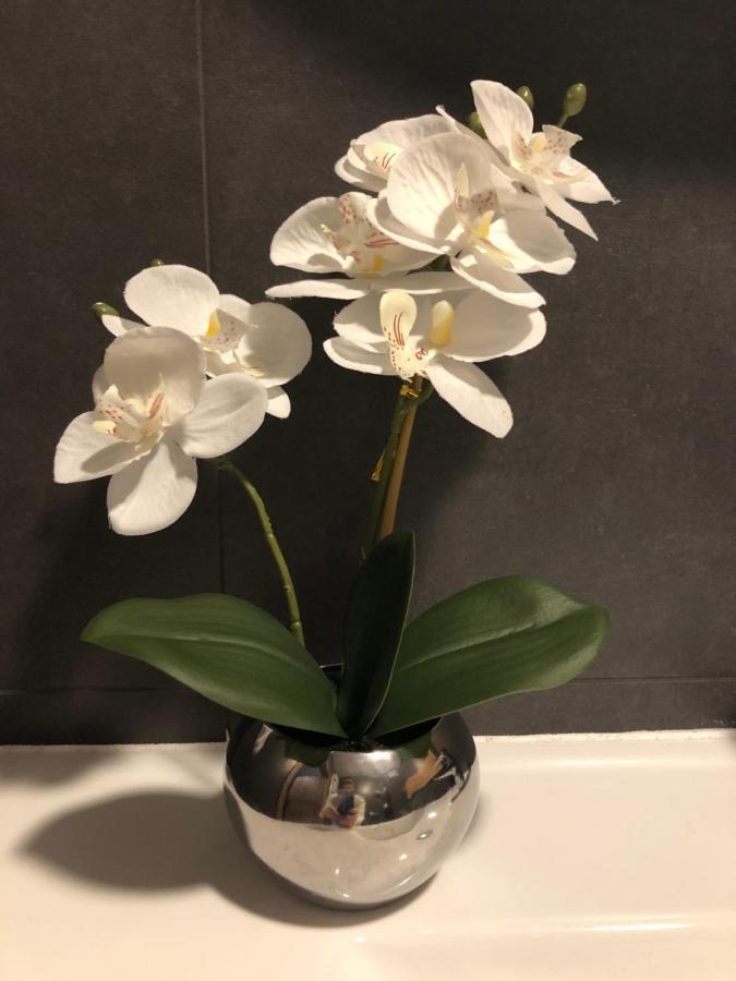 Łomianki Apartament Chopina מראה חיצוני תמונה